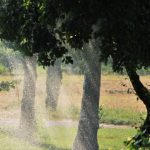 jak działa łapacz wody deszczowej