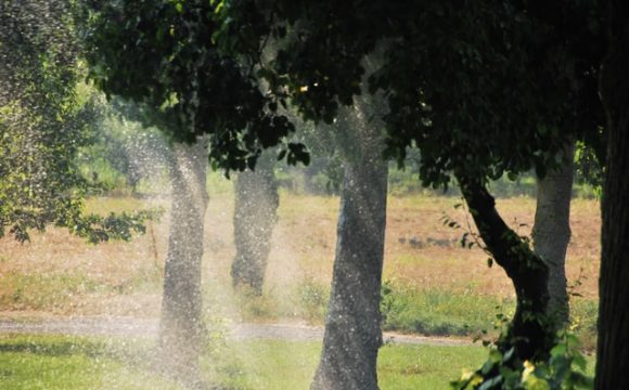 jak działa łapacz wody deszczowej