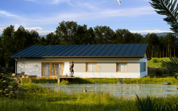 projekty domów parterowych z garażem
