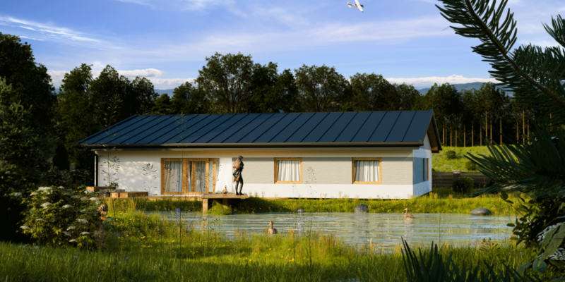 projekty domów parterowych z garażem