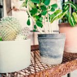 doniczki ceramiczne